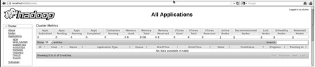 Hadoop Applicatin Cluster